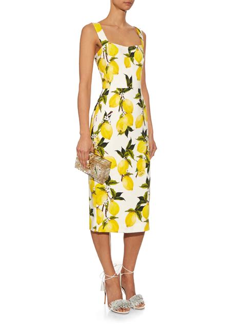 lemon print dress dolce gabbana bergdorf goodman|dolce gabbana clothing.